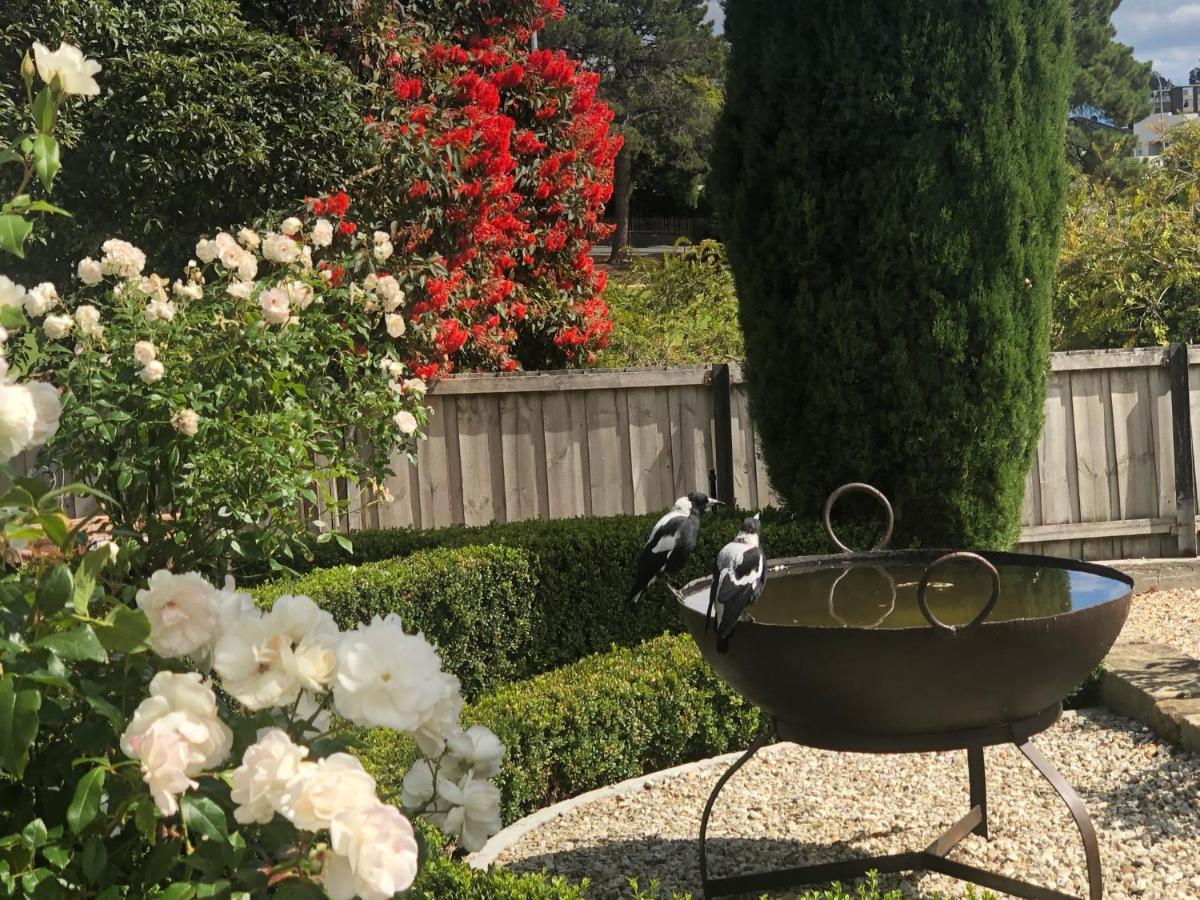 The Rivulet Bed & Breakfast Sandy Bay Exterior photo The Rose Garden at the San Francisco Botanical Garden